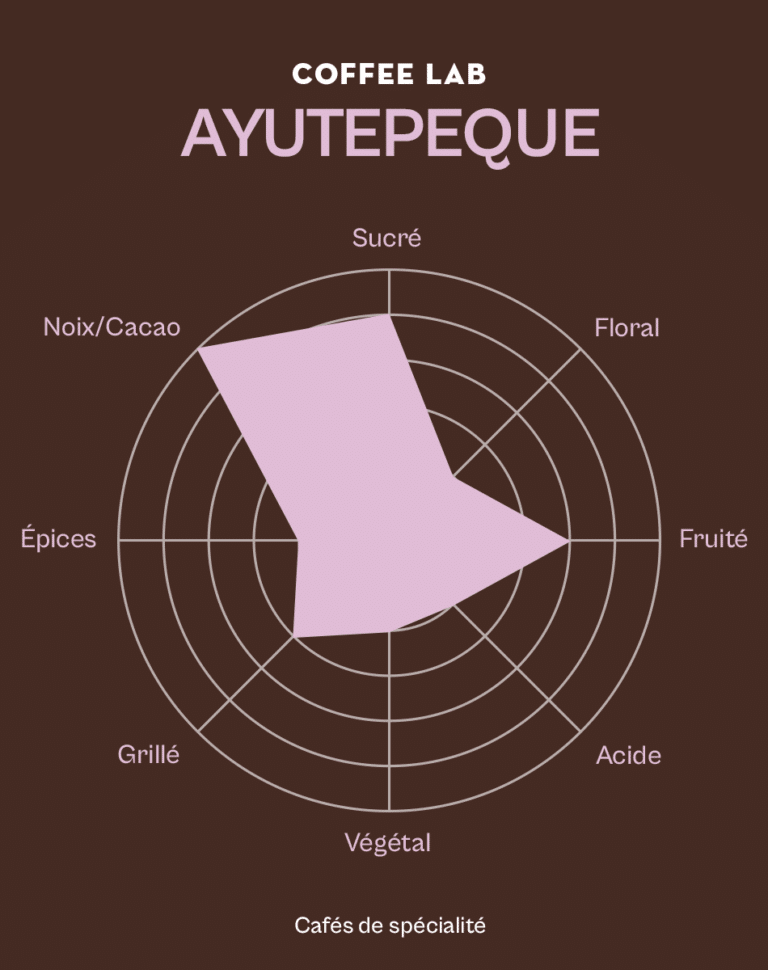 Roue des saveurs du café Ayutepeque