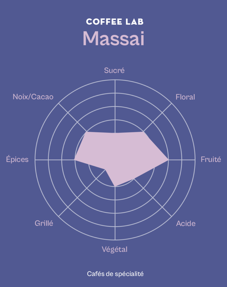 roue des saveurs du café massai