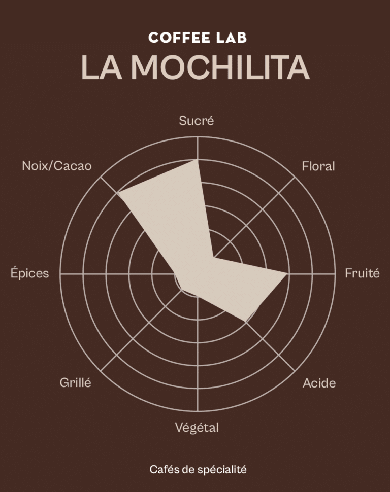 Roue des saveurs du café La Mochilita
