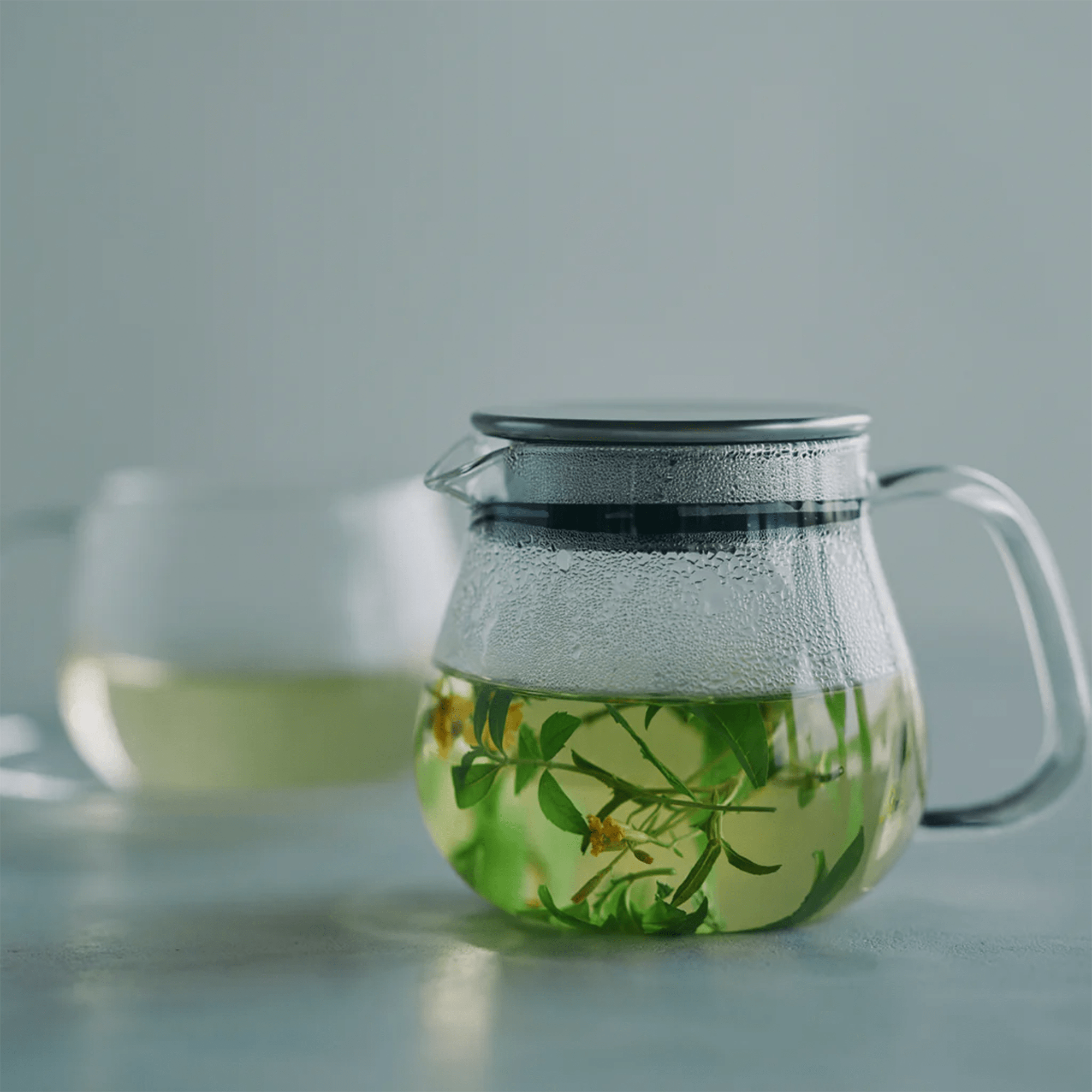 Théière à infusion Kinto UNITEA One Touch 460 ml en verre