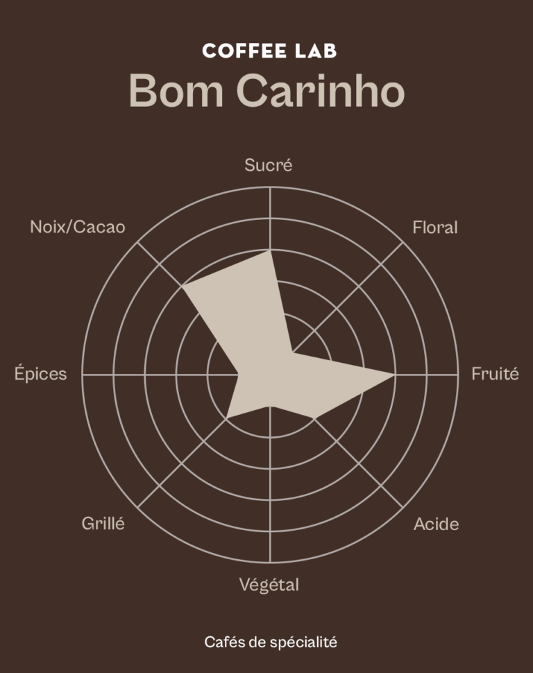 Roue des saveurs du café Bom Carinho avec profil aromatique sucré, fruité et cacao